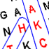 Interactive Word search Puzzles